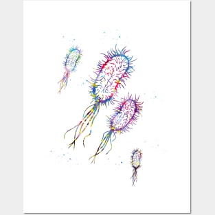 Escherichia coli Posters and Art